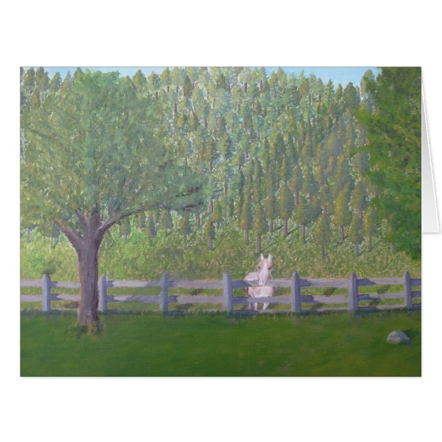 White Horse in Field (Front Horizontal)