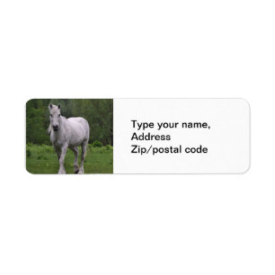White Horse In Field Return Address Label