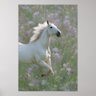 White horse in flowers poster