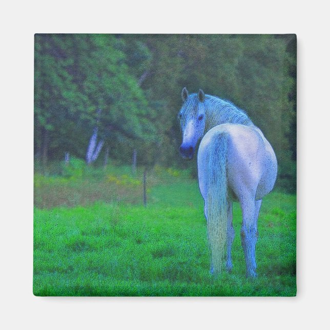 White Horse in Moonlight Magnetic Art Gift Magnet (Front)