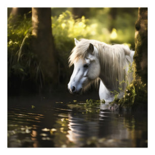 White Horse in Pond Photo Print