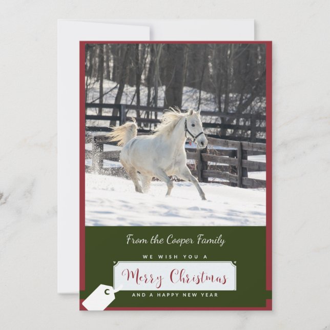 White Horse in Snow Christmas Card (Front)