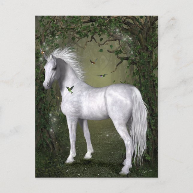 White Horse in the Woods with Hummingbirds Postcard (Front)
