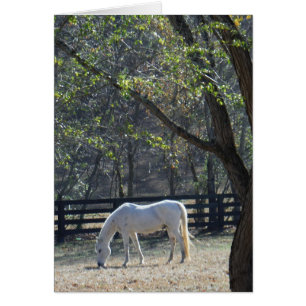 White Horse in trees