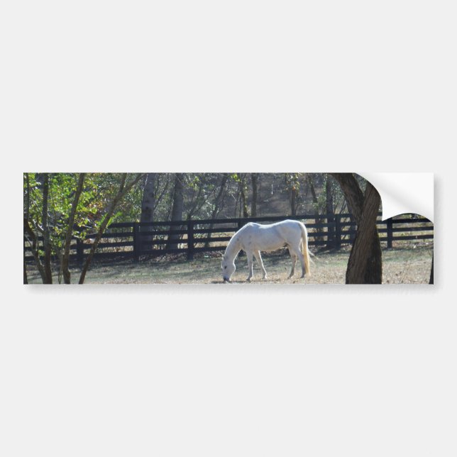 White Horse in trees Bumper Sticker (Front)