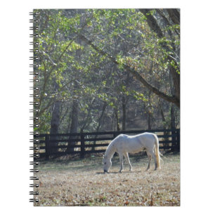 White Horse in trees Notebook