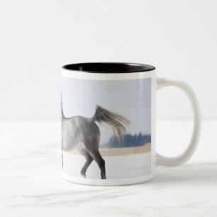 white horse in winter Two-Tone coffee mug