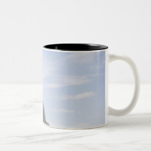white horse jumping on meadow Two-Tone coffee mug