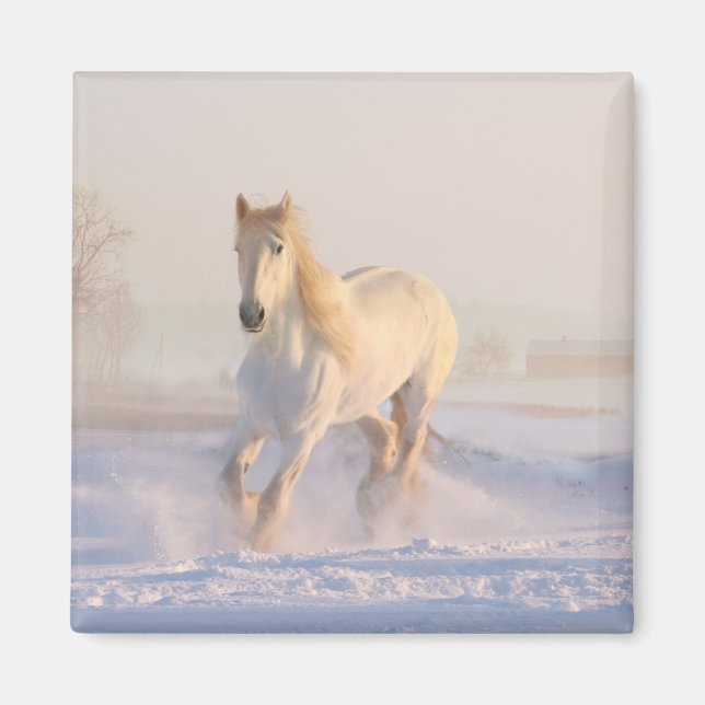 White Horse Lover Western Equestrian Farm Pony Magnet (Front)