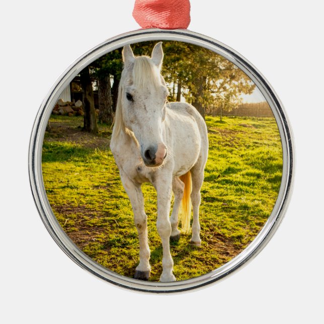 White Horse Metal Ornament (Front)