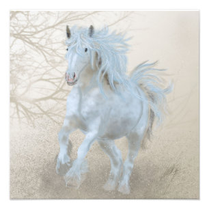 White Horse - Photo Enlargement Print