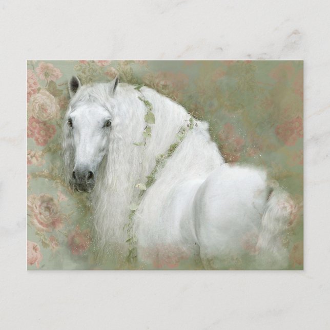 White Horse - Postcard (Front)
