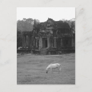 White Horse Postcard