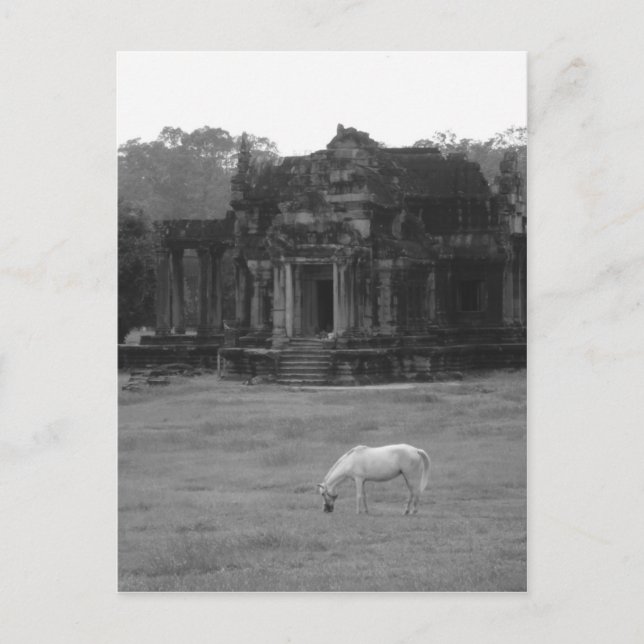 White Horse Postcard (Front)