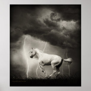 White horse poster