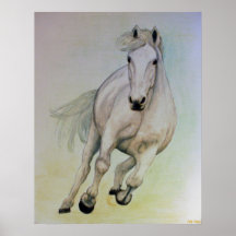 White Horse Poster