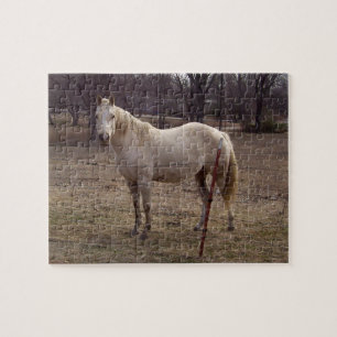 White Horse Puzzle