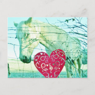 White Horse Red Heart Valentine Holiday Postcard