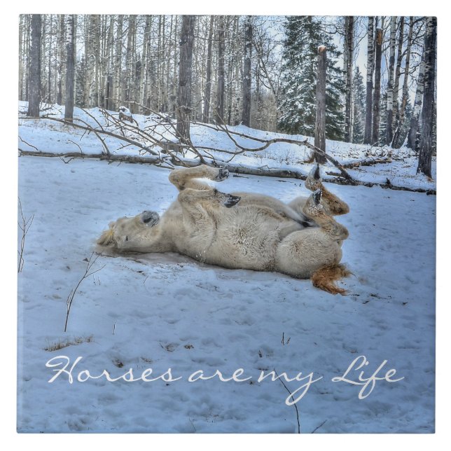 White Horse Rolling in Winter Snow Tile (Front)