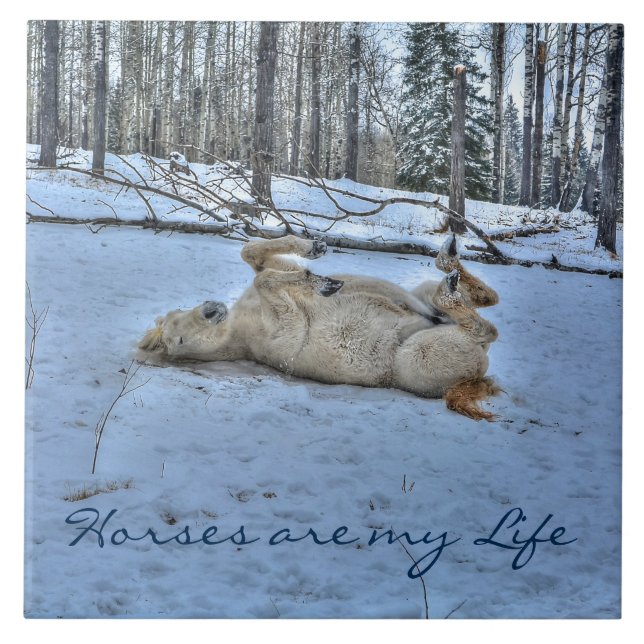 White Horse Rolling in Winter Snow Tile (Front)