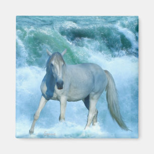 White Horse & Rolling Ocean Surf Art Magnet
