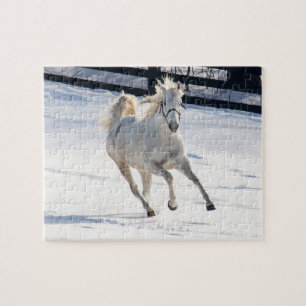 White Horse Running In Snow Jigsaw Puzzle