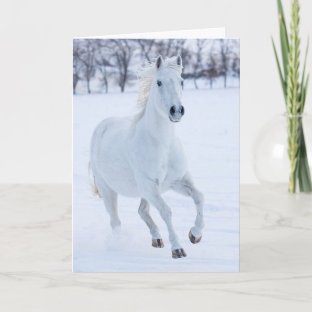 White Horse Running in the Snow Card (Front)
