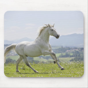 white horse running on meadow mouse pad