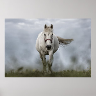 White Horse Running Poster
