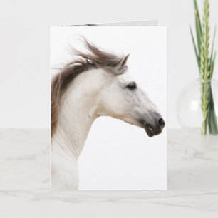 White Horse Runs Horse Greeting Card