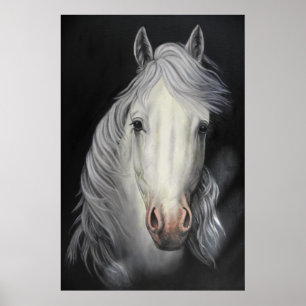 white horse stallion painting poster