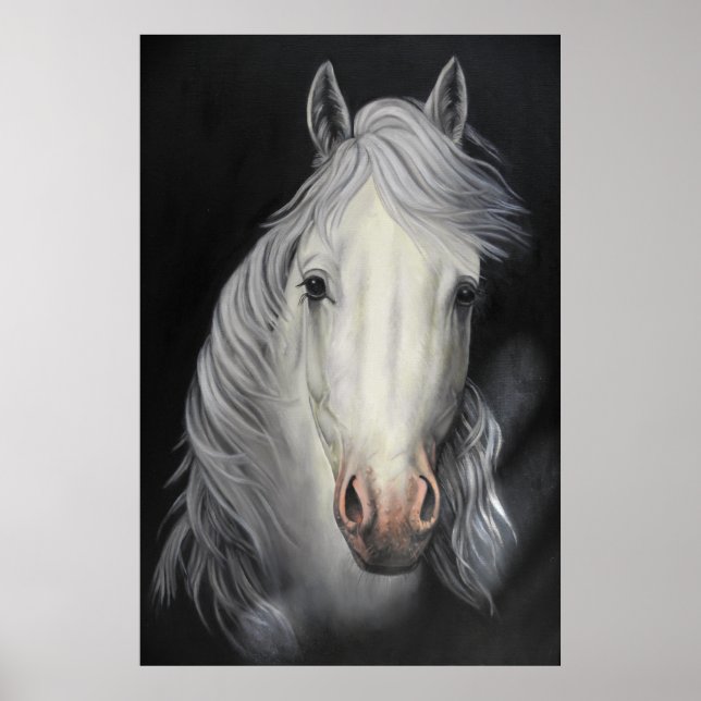 white horse stallion painting poster (Front)