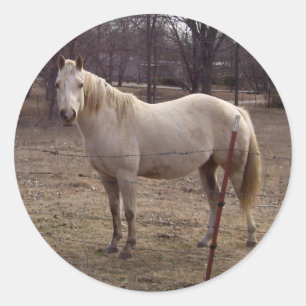 White Horse Stickers