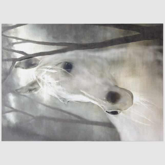 White Horse Tissue Paper (Front)