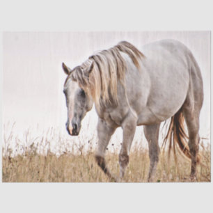 white horse tissue paper