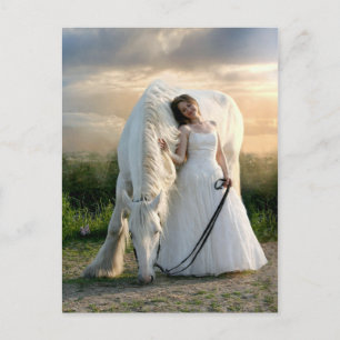 White Horse with Bride Postcard