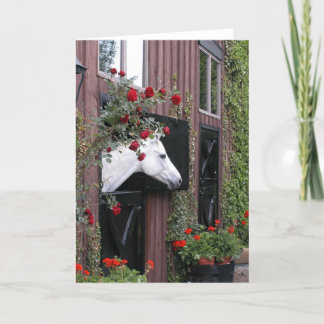 White Horse with Roses Card