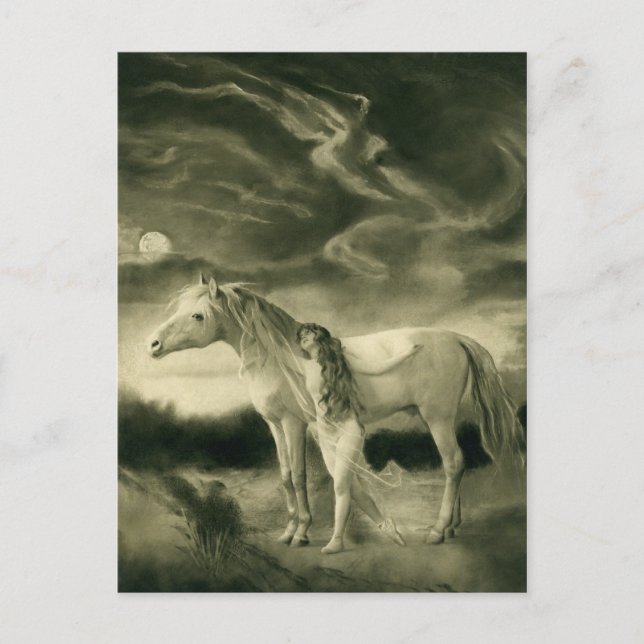 white horse woman postcard (Front)