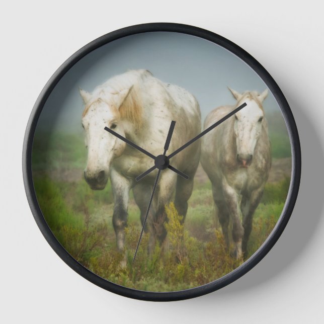White Horses of Camargue in Field Clock (Front)
