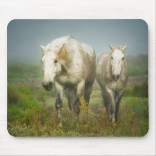 White Horses of Camargue in Field Mouse Pad
