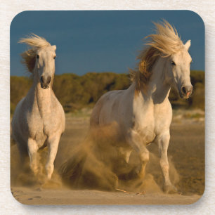 White Horses Running On Beach   Camargue, France Coaster