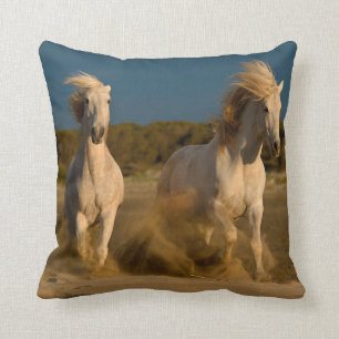 White Horses Running On Beach   Camargue, France Cushion