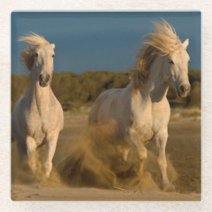 White Horses Running On Beach Camargue, France Glass Coaster