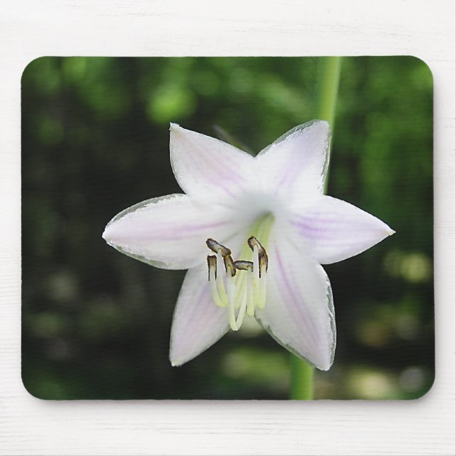 White Hosta Flower Mouse Pad (Front)