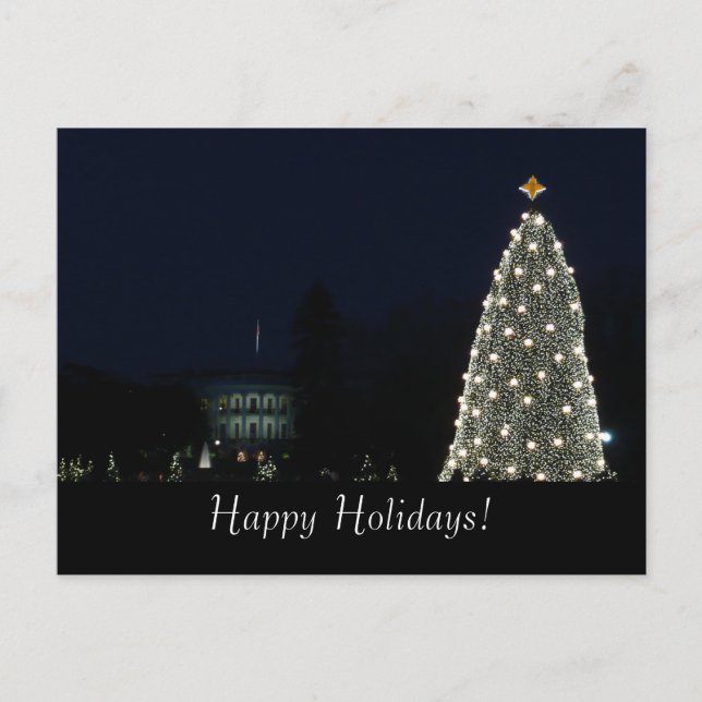 White House and National Tree Postcard (Front)