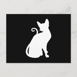 White House Cat Postcard