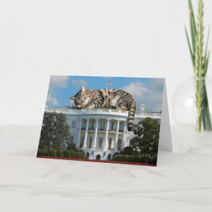White House Giant Tabby Card