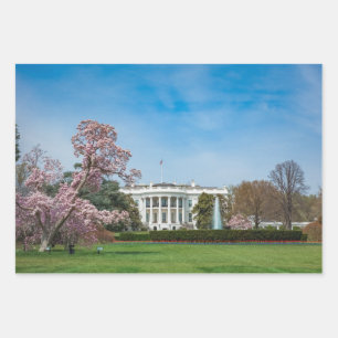 White House in Spring Wrapping Paper Sheet