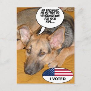 White-House Pet/German Shepherd Postcard