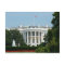 White House Postcard